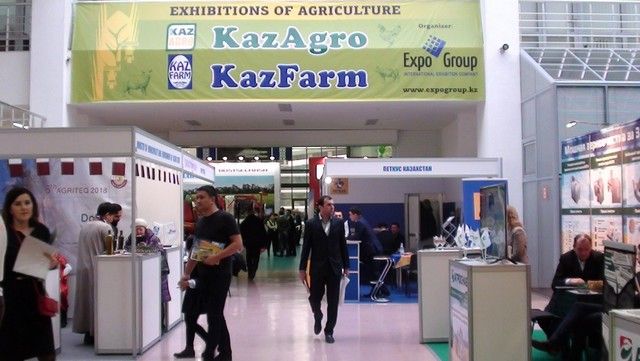 Крупнейшие ежегодные международные выставки - «KazAgro-2017», посвященная теме сельского хозяйства и пищевой промышленности и «KazFarm-2017» - выставка животноводства и мясомолочной промышленности
