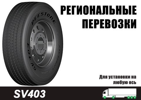 315/70R22.5 156/150L 20PR DEESTONE SV403 TL