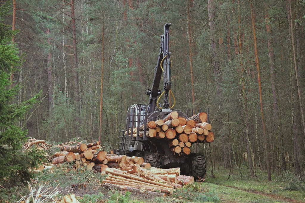 Компания BKT вносит свой вклад в общее дело, создавая высокоэффективные шины, которые дают адекватный ответ на запрос такого требовательного рынка.